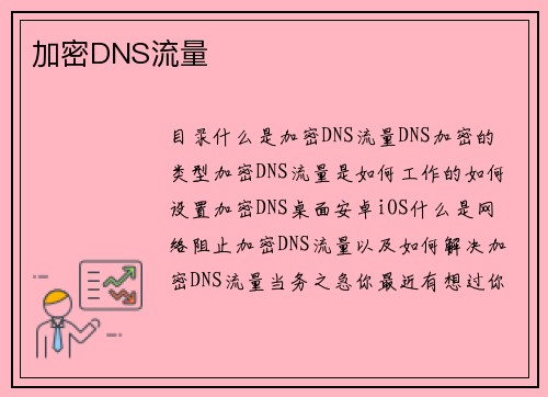 加密DNS流量 